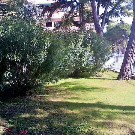 Sole Apartment